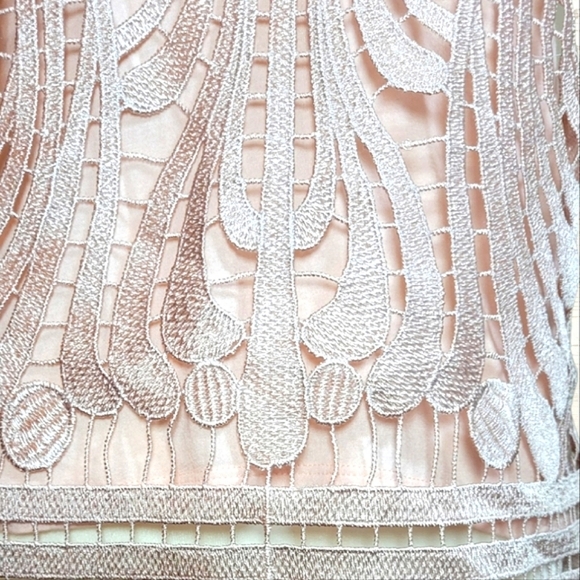 EXPRESS Pink Lace Embroidered Tank Top EUC Size Small - Picture 5 of 9